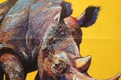 Affiche au format mondial (80x120) du Cirque National Suisse Knie 1967 avec en illustration un rhinoceros.